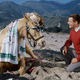 Image for article titled Alan Young, Star Of Mr. Ed and Voice Of Scrooge McDuck on Duck Tales, Dies at Age 96